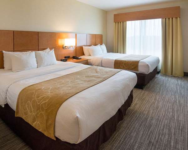 Suite - Comfort Suites Bossier City - I-20, Exit 26