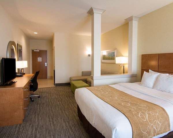 Suite - Comfort Suites Bossier City - I-20, Exit 26