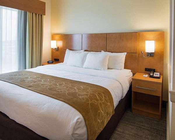 Suite - Comfort Suites Bossier City - I-20, Exit 26