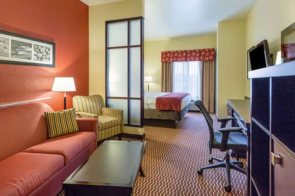 Suite - Comfort Suites Leesville