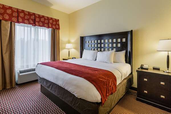 Suite - Comfort Suites Leesville