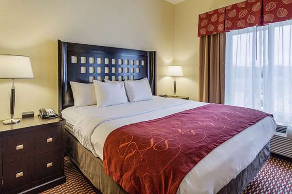 Suite - Comfort Suites Leesville