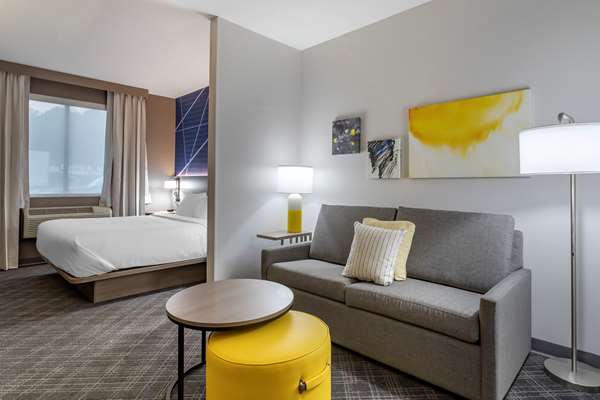 Suite - Comfort Suites Natchitoches - I-49, Exit 138