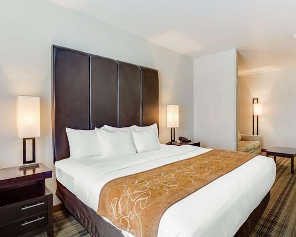 Suite - Comfort Suites Covington - I-12, Exit 65