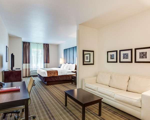 Suite - Comfort Suites Covington - I-12, Exit 65