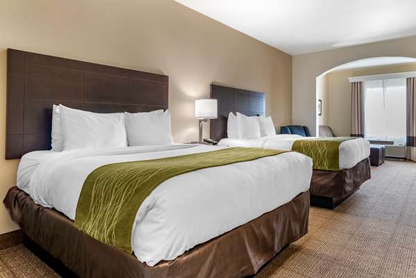 Suite - Comfort Inn & Suites Scott - I-10, Exit 97