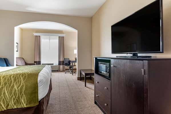 Suite - Comfort Inn & Suites Scott - I-10, Exit 97