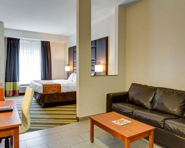 Suite - Comfort Suites Denham Springs
