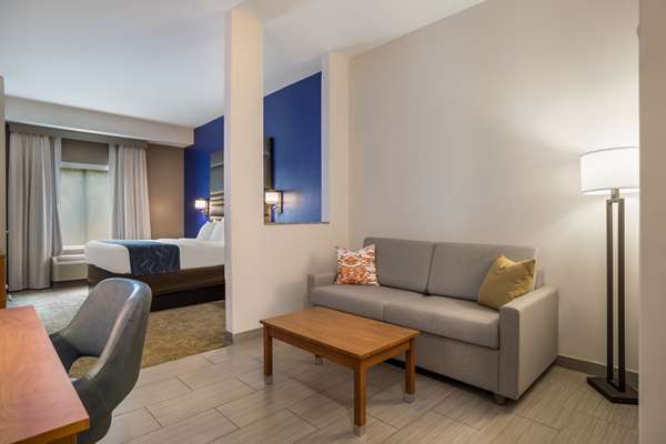  - Comfort Suites Denham Springs