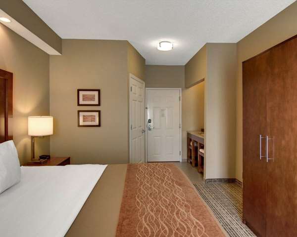  - Comfort Inn West Monroe - I-20, Exit 114