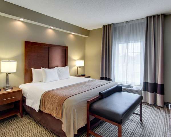 Suite - Comfort Inn West Monroe - I-20, Exit 114