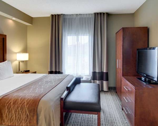 Suite - Comfort Inn West Monroe - I-20, Exit 114