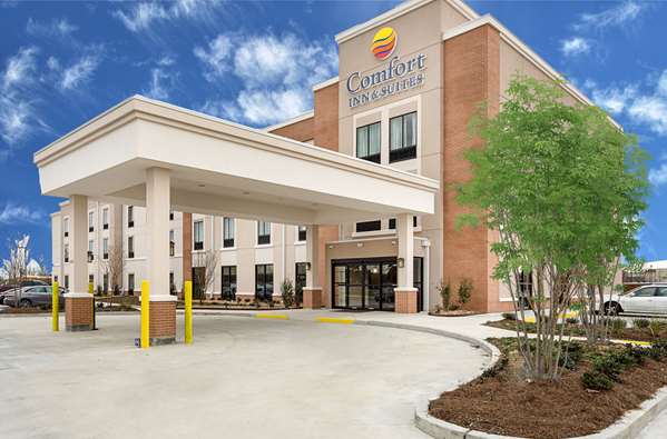 Exterior view - Comfort Inn & Suites Zachary