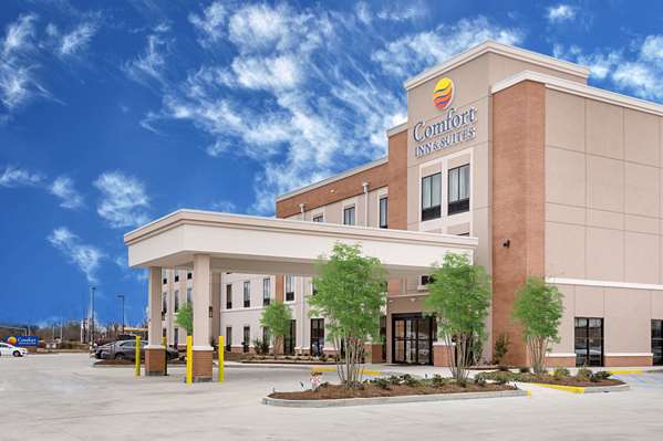 Exterior view - Comfort Inn & Suites Zachary