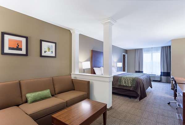 Suite - Comfort Inn & Suites Zachary