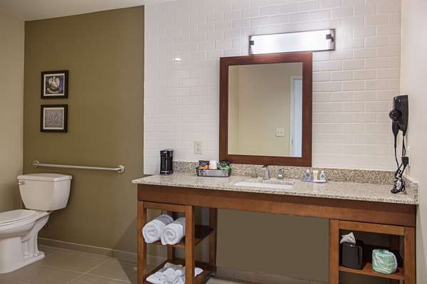 Suite - Comfort Inn & Suites Zachary