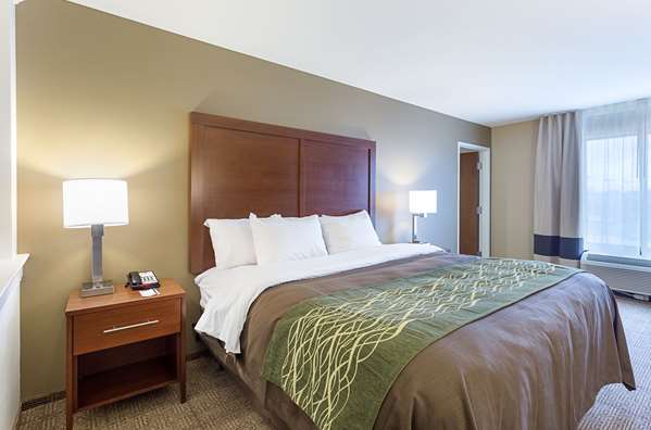 Suite - Comfort Inn & Suites Zachary