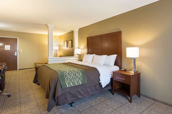 Suite - Comfort Inn & Suites Zachary