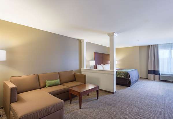 Suite - Comfort Inn & Suites Zachary