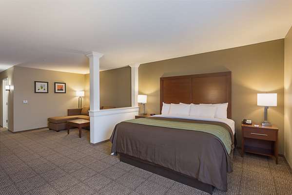 Suite - Comfort Inn & Suites Zachary