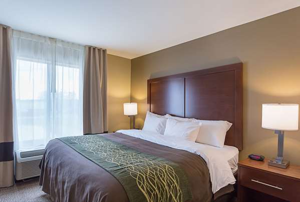 Suite - Comfort Inn & Suites Zachary