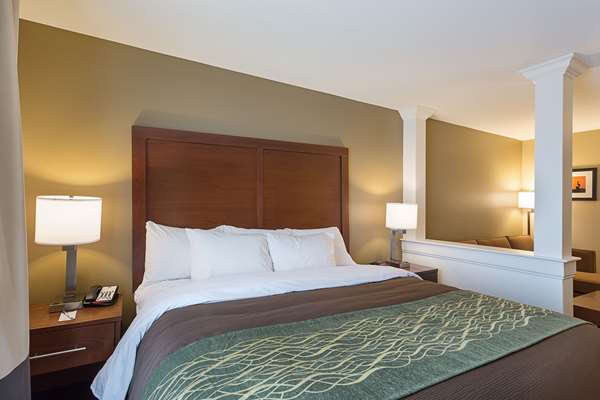 Suite - Comfort Inn & Suites Zachary