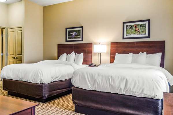 Suite - MainStay Suites Hackberry