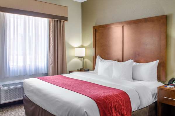 Suite - Comfort Inn & Suites Covington - I-12, Exit 63