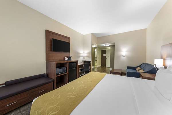 Suite - Comfort Suites Tulare - CA 99, Exit 88