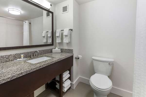Suite - Comfort Suites Tulare - CA 99, Exit 88