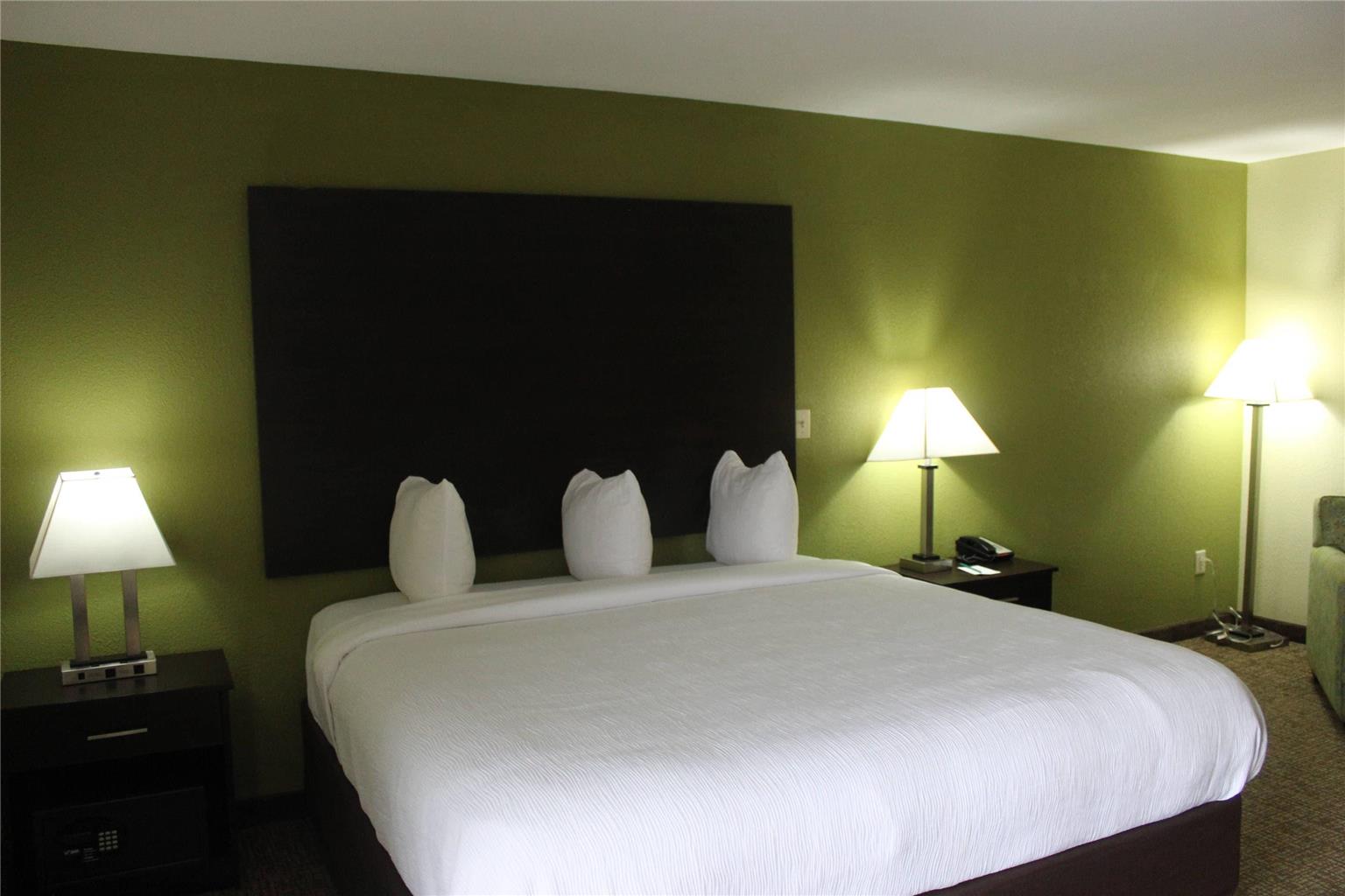 QUALITY INN AND SUITES UNIVERSITY A, photo 3