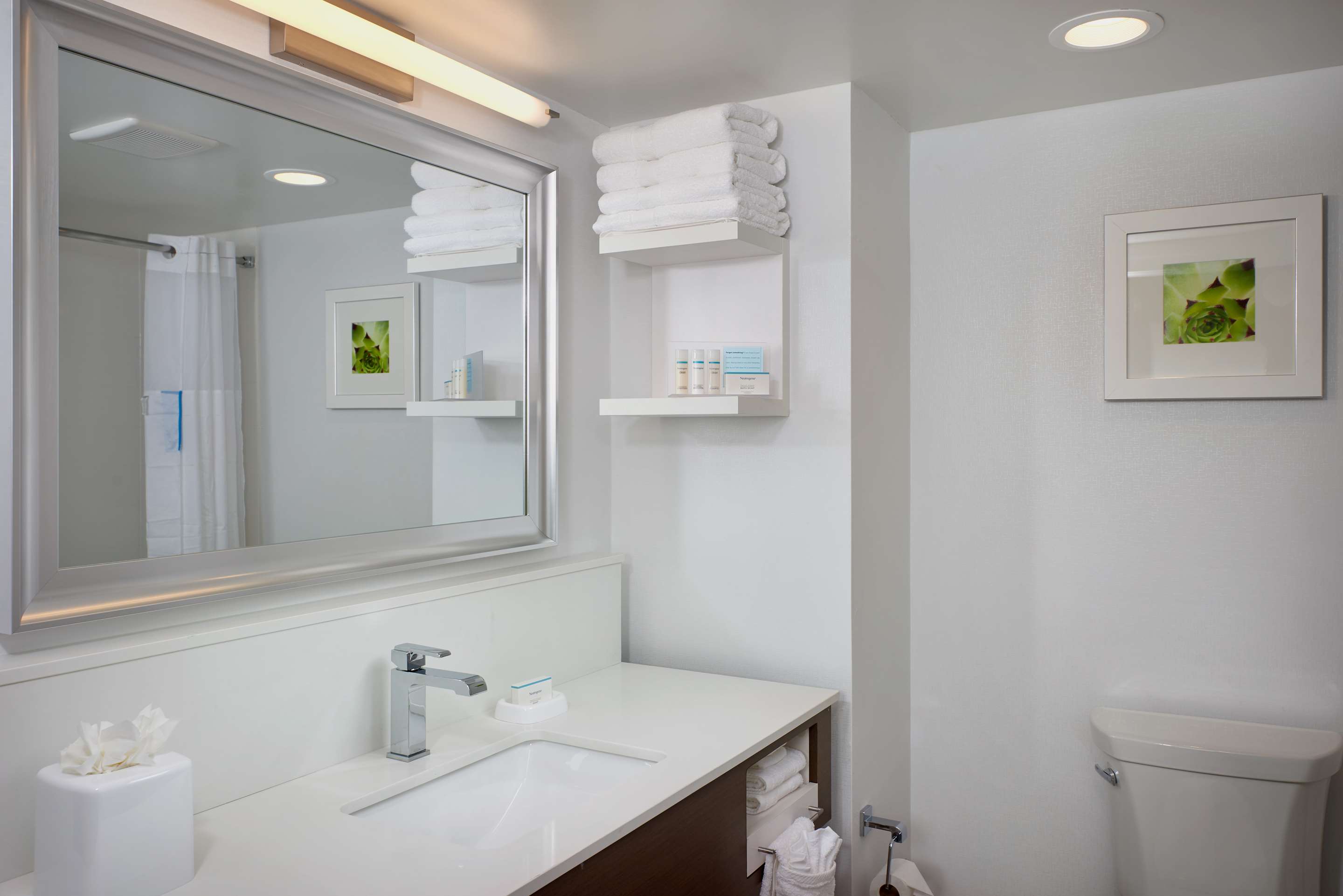 Guest room bath