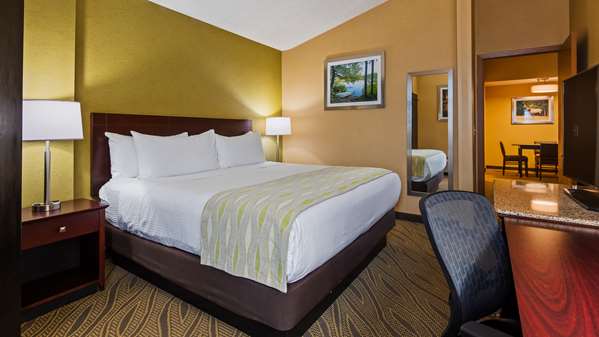  - Best Western Gaylord Hotel - I-75, Exit 282