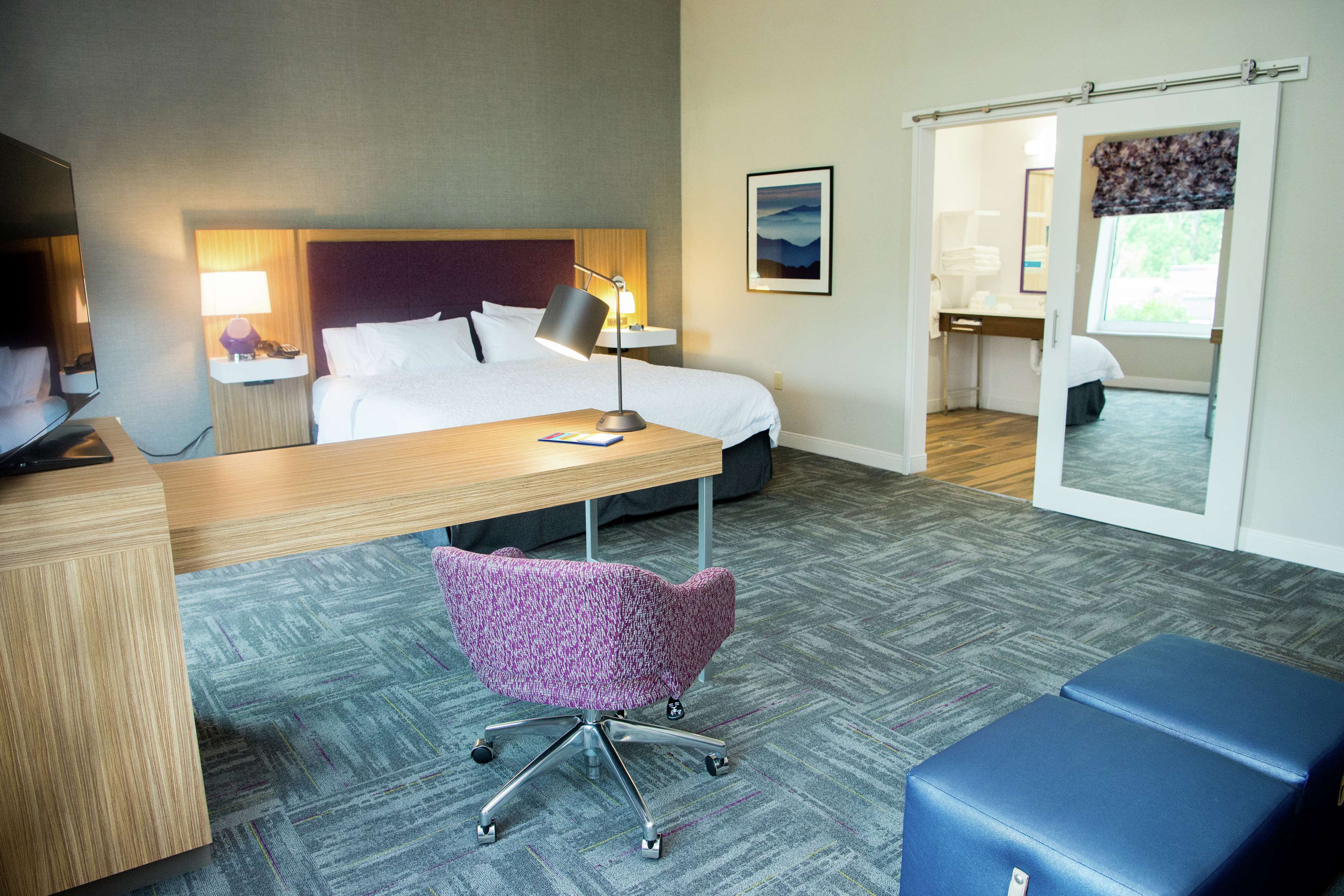 Hampton Inn & Suites by Hilton Warrington Horsham Room Type - KING STUDIO SOFA SUITE