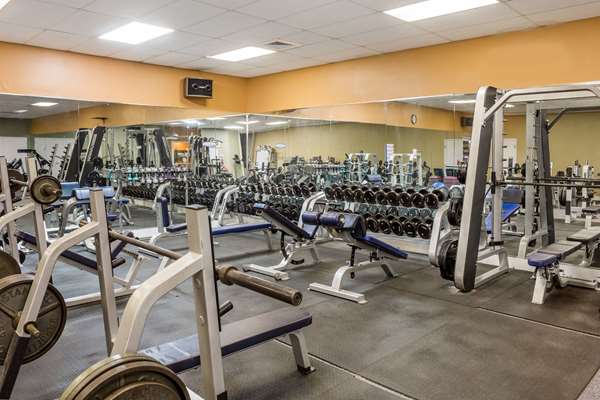 Fitness/ Exercise Room - Safety Harbor Resort & Spa