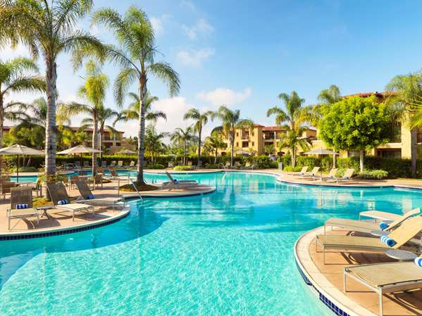 Pool - Hilton Grand Vacations at MarBrisa Resort Carlsbad