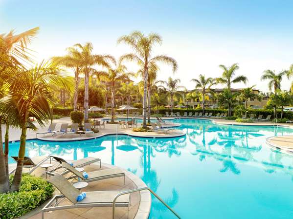 Pool - Hilton Grand Vacations at MarBrisa Resort Carlsbad