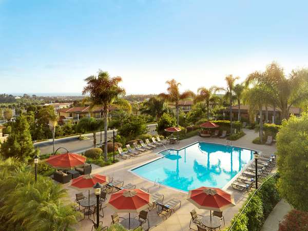 Pool - Hilton Grand Vacations at MarBrisa Resort Carlsbad
