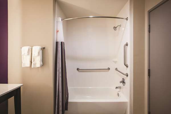 Suite - La Quinta Inn & Suites Arboretum Garland - I-635, Exit 11A