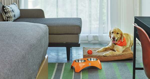  - Canopy by Hilton Hotel Pearl District Portland - I-405, Exit 2B