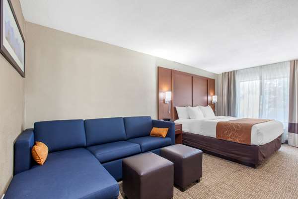 Suite - Comfort Inn & Suites Lakeside