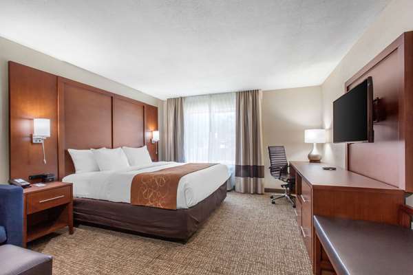 Suite - Comfort Inn & Suites Lakeside