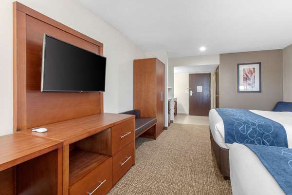 Suite - Comfort Inn & Suites Lakeside