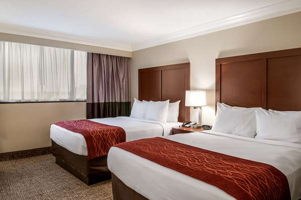  - Comfort Inn & Suites Metairie - I-10, Exit 228