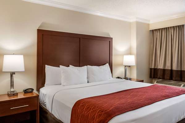  - Comfort Inn & Suites Metairie - I-10, Exit 228
