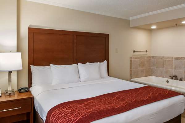 Suite - Comfort Inn & Suites Metairie - I-10, Exit 228