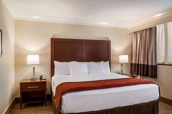 Suite - Comfort Inn & Suites Metairie - I-10, Exit 228