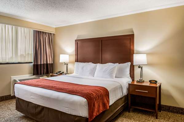 Suite - Comfort Inn & Suites Metairie - I-10, Exit 228