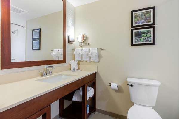  - Comfort Inn & Suites at CrossPlex Village Birmingham - I-20 & I-59, Exit 120