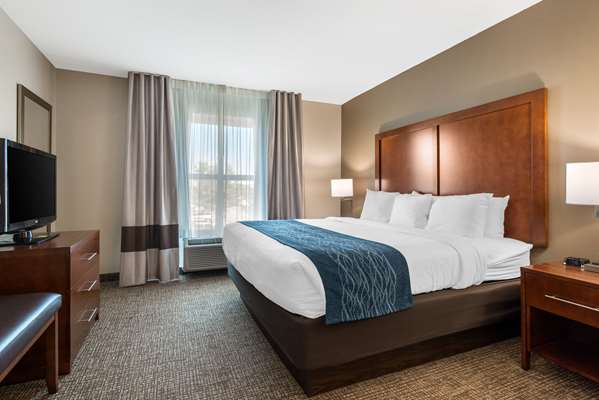 Suite - Comfort Inn & Suites Tavares